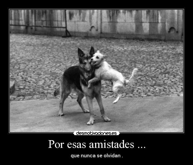 Por esas amistades ... - que nunca se olvidan .
