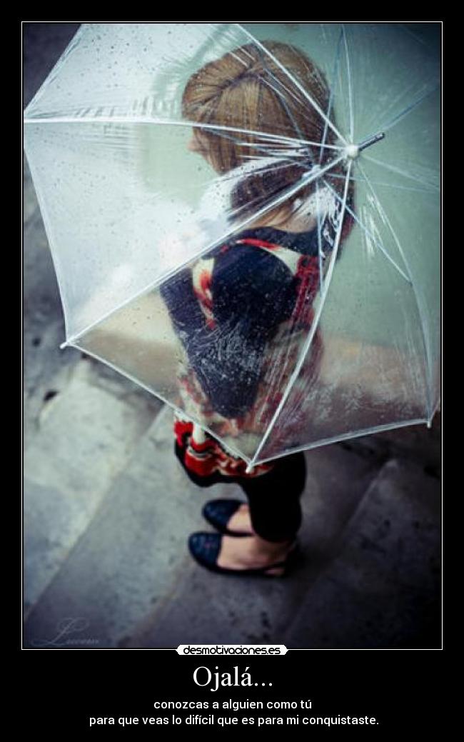 Ojalá... - conozcas a alguien como tú
para que veas lo difícil que es para mi conquistaste.