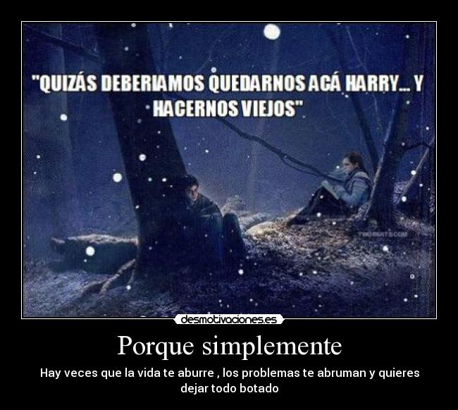 carteles harry potter desmotivaciones