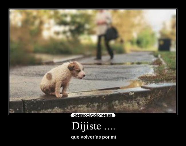 Dijiste .... -