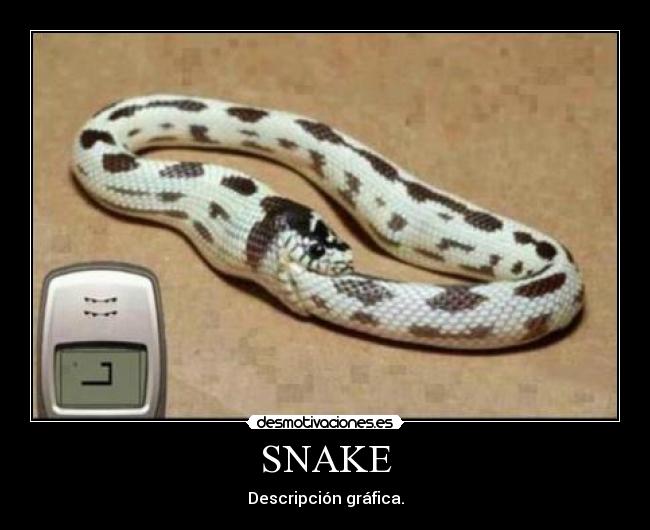 carteles snake desmotivaciones