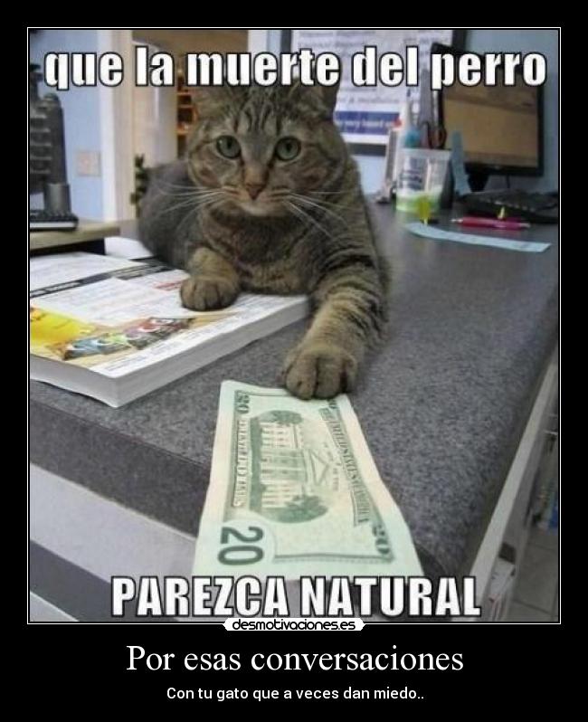 Por esas conversaciones - Con tu gato que a veces dan miedo..