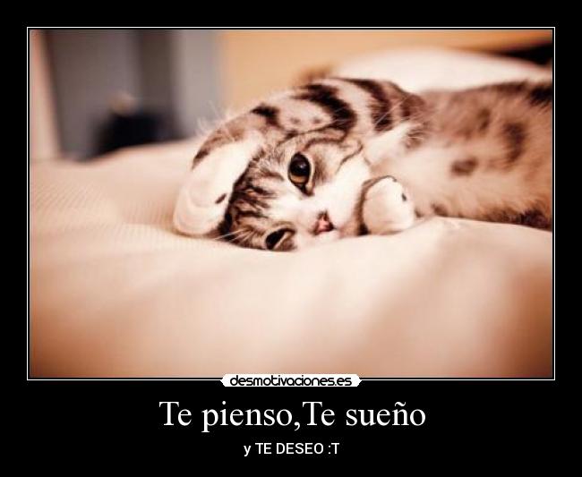Te pienso,Te sueño - y TE DESEO :T
