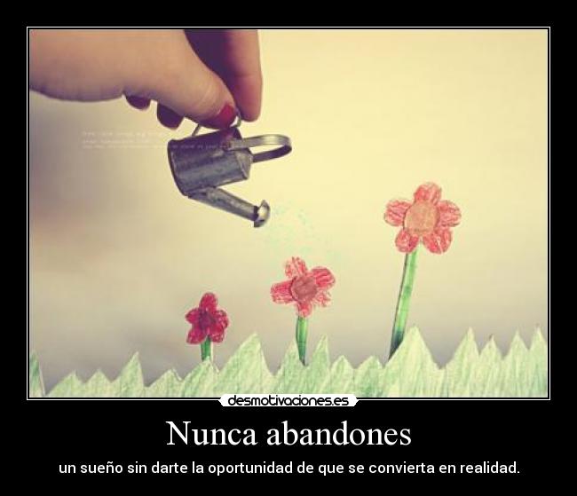 Nunca abandones - un sueño sin darte la oportunidad de que se convierta en realidad.