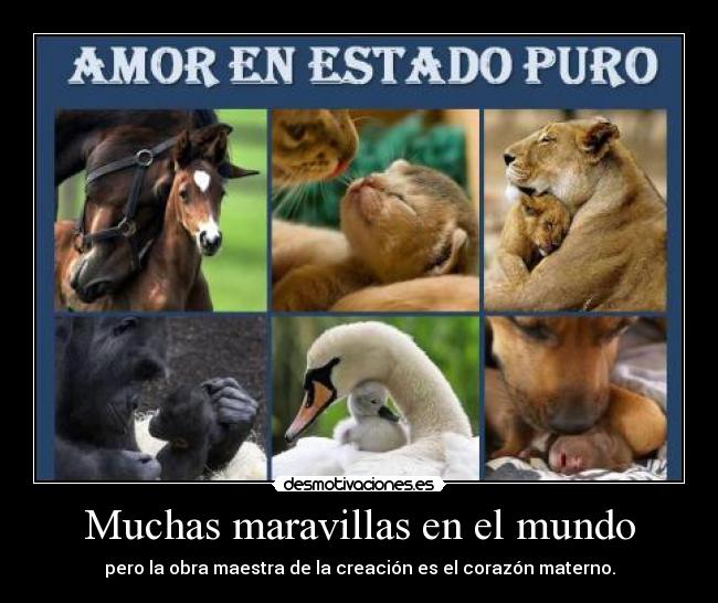 Muchas maravillas en el mundo - pero la obra maestra de la creación es el corazón materno.