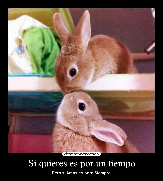 Si quieres es por un tiempo -