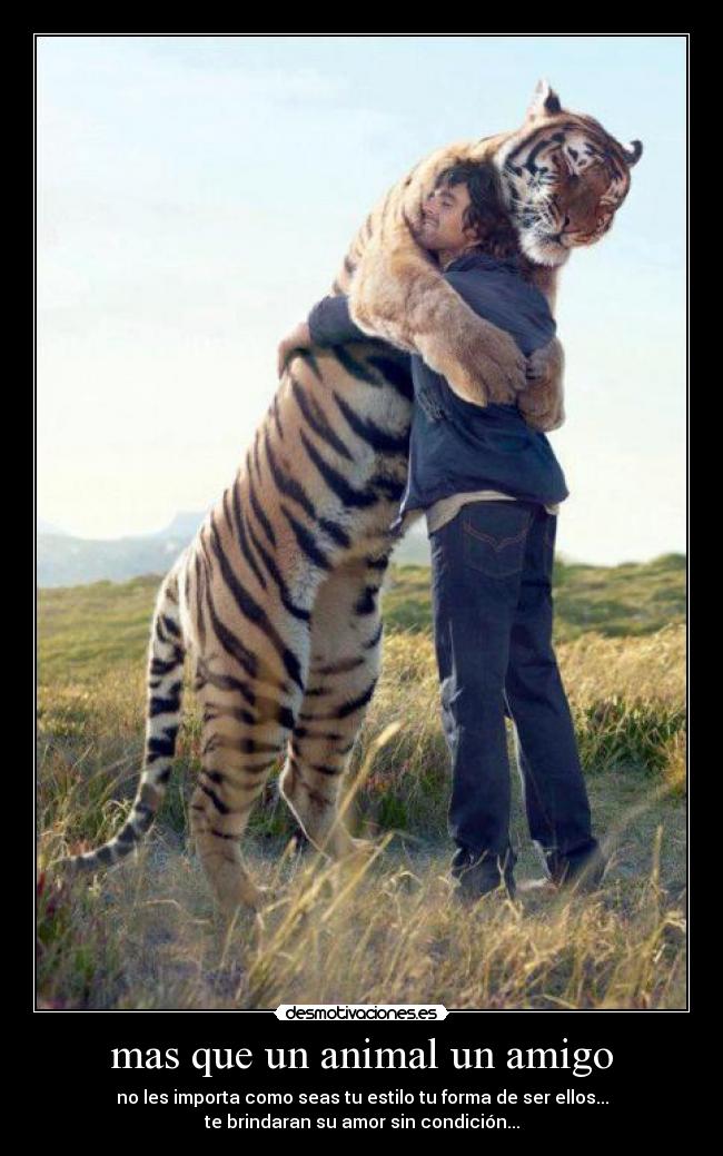mas que un animal un amigo - no les importa como seas tu estilo tu forma de ser ellos...
te brindaran su amor sin condición...