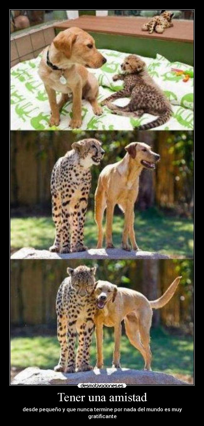 Tener una amistad - desde pequeño y que nunca termine por nada del mundo es muy gratificante