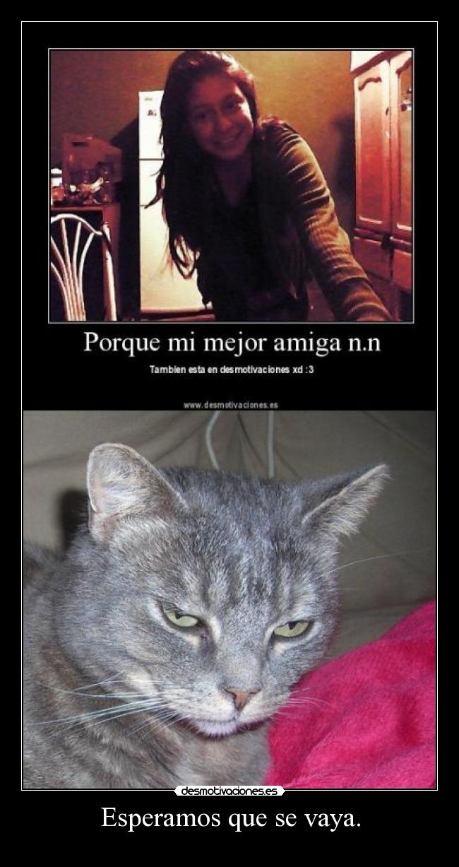 Esperamos que se vaya. - 