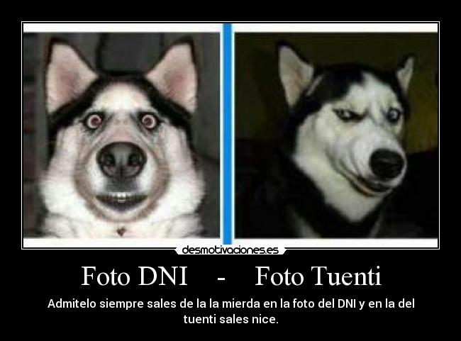 Foto DNI    -    Foto Tuenti - Admitelo siempre sales de la la mierda en la foto del DNI y en la del tuenti sales nice.