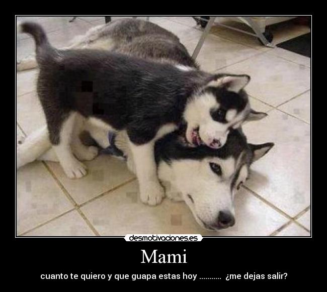 Mami - cuanto te quiero y que guapa estas hoy ...........  ¿me dejas salir?