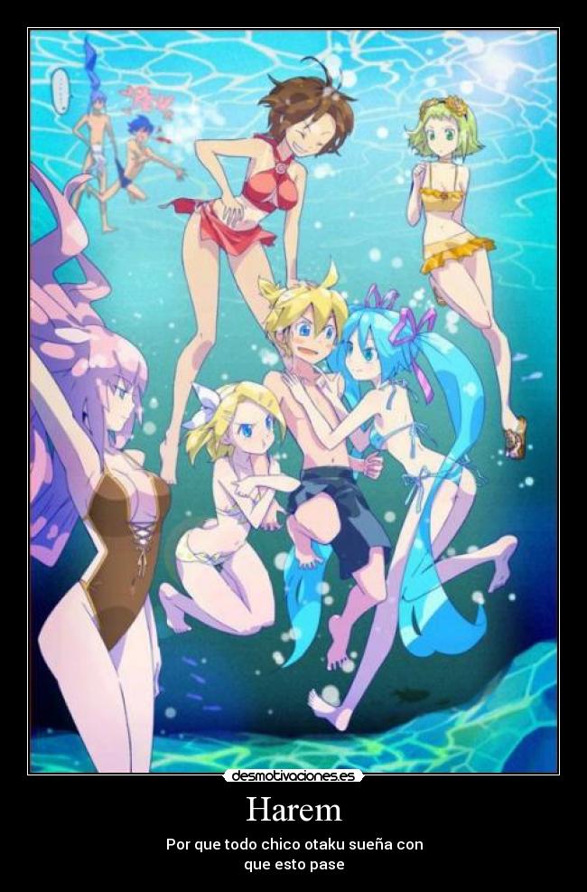 Harem - Por que todo chico otaku sueña con
que esto pase