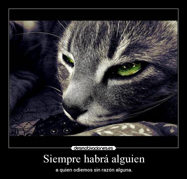 Siempre habrá alguien - 