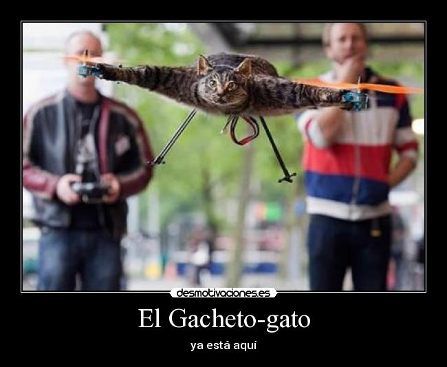 El Gacheto-gato - ya está aquí