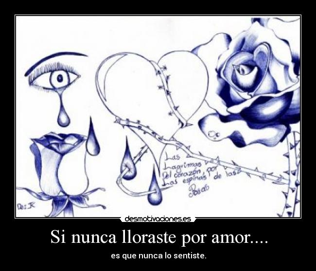 Si nunca lloraste por amor.... - 