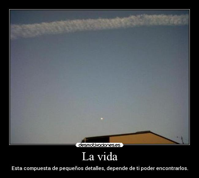 La vida - Esta compuesta de pequeños detalles, depende de ti poder encontrarlos.