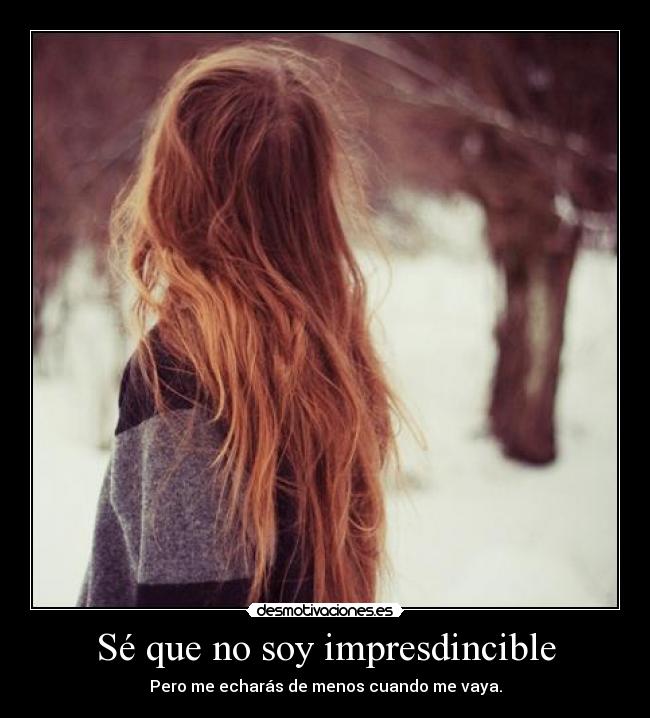 carteles se que soy impresdincible desmotivaciones