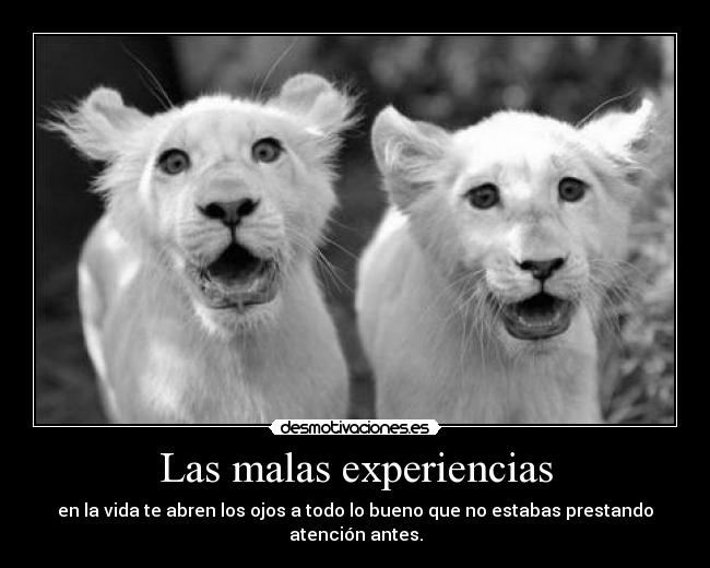 Las malas experiencias -