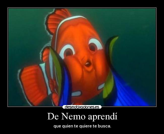 De Nemo aprendí - 
