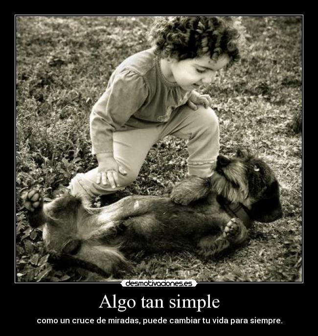 Algo tan simple - como un cruce de miradas, puede cambiar tu vida para siempre.