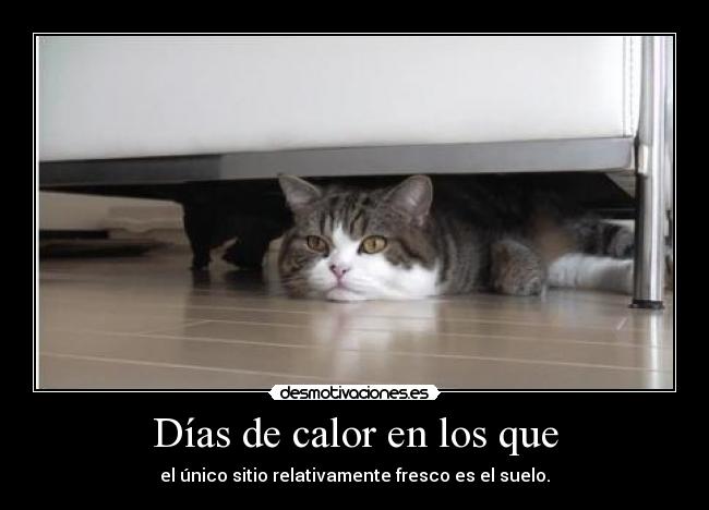 Días de calor en los que - 