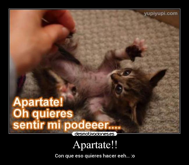 carteles laurel natalia desmotivaciones