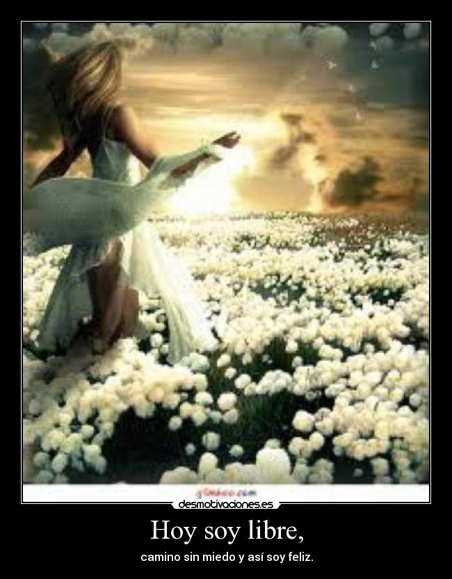 carteles desfdxgfgbvcv desmotivaciones