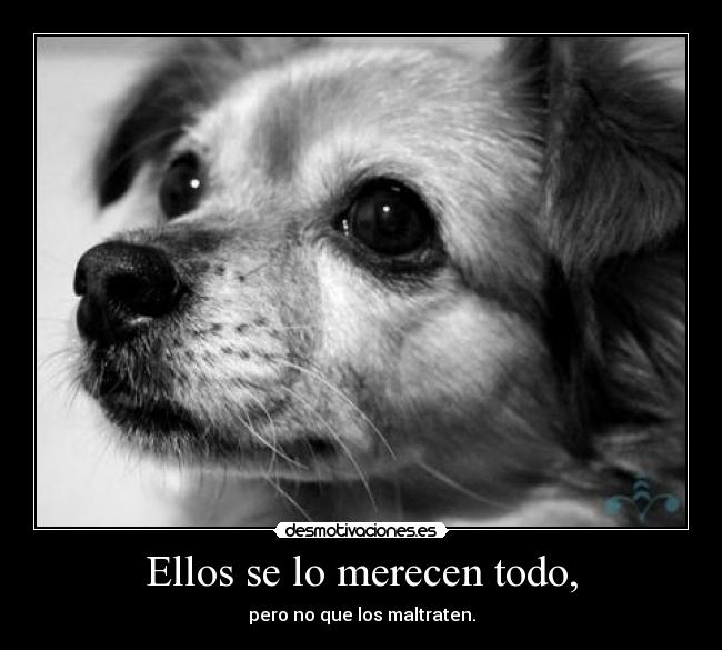 Ellos se lo merecen todo, - 