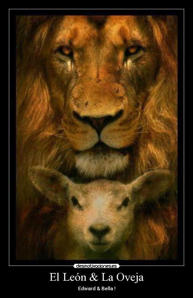 El León & La Oveja - Edward & Bella♥!