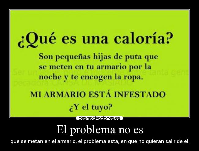El problema no es - que se metan en el armario, el problema esta, en que no quieran salir de el.