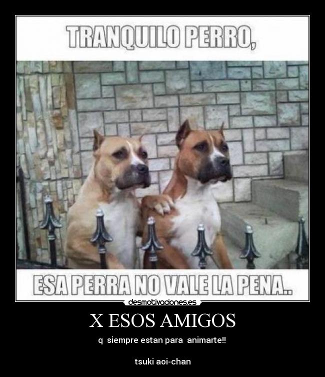 X ESOS AMIGOS - q siempre estan para animarte!!
tsuki aoi-chan