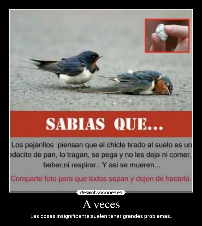 A veces - Las cosas insignificante;suelen tener grandes problemas..