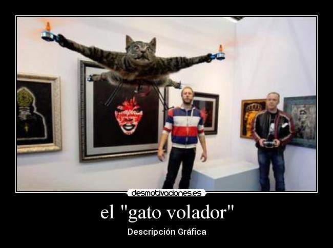 el gato volador - Descripción Gráfica