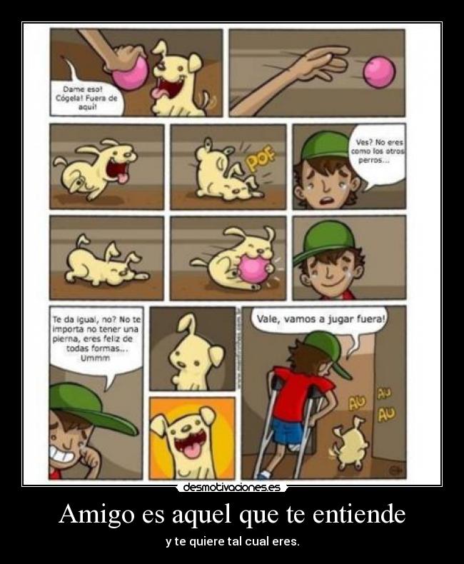 Amigo es aquel que te entiende - 