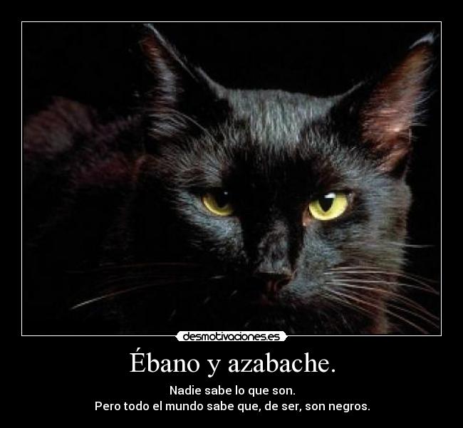 Ébano y azabache. - Nadie sabe lo que son.
Pero todo el mundo sabe que, de ser, son negros.