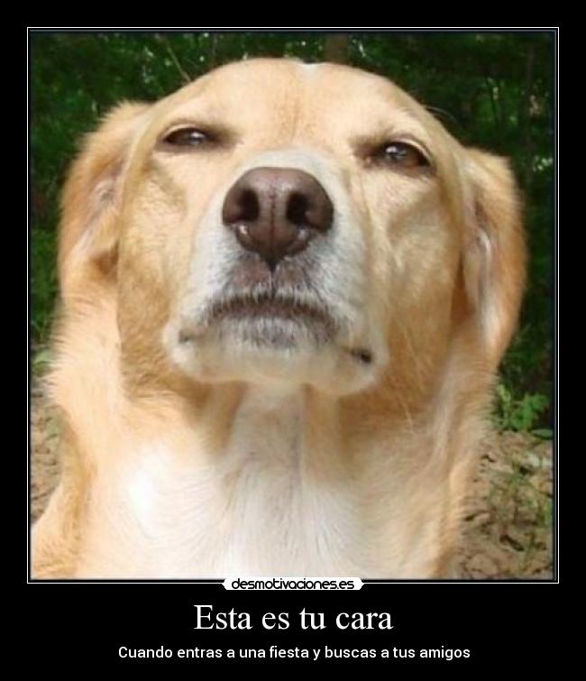 Esta es tu cara - Cuando entras a una fiesta y buscas a tus amigos