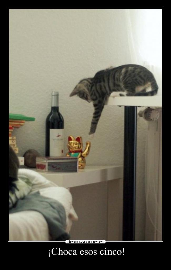 ¡Choca esos cinco! - 
