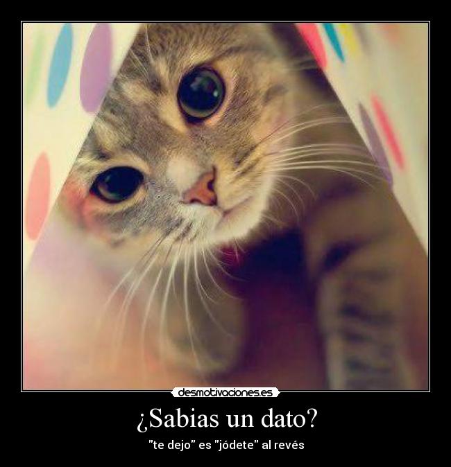 ¿Sabias un dato? - te dejo es jódete al revés