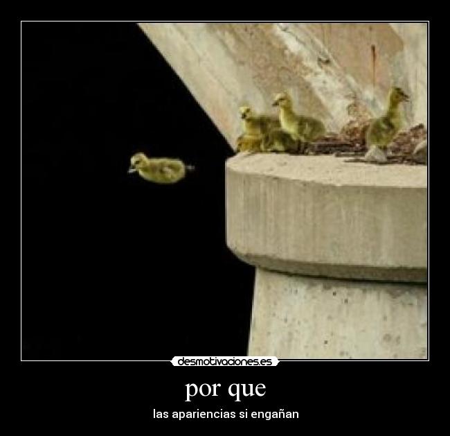 por que - 