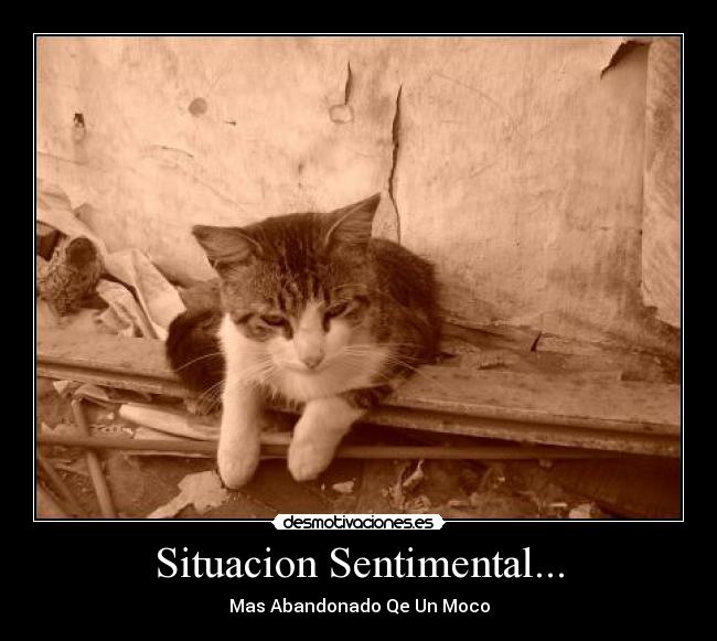 Situacion Sentimental... - 