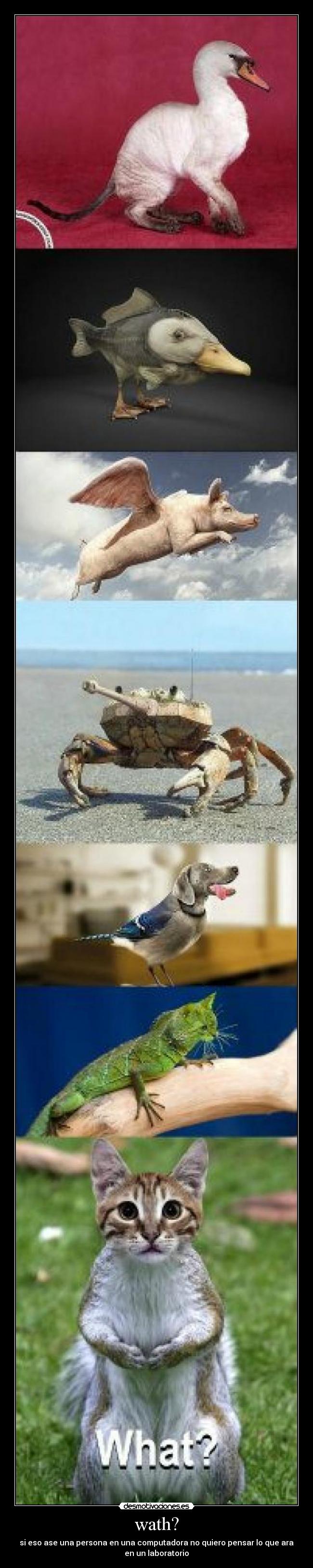 carteles wath desmotivaciones