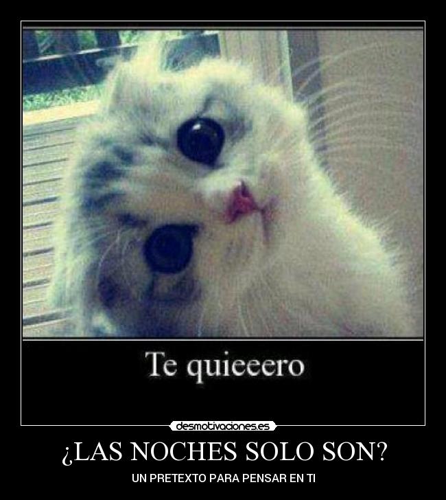 ¿LAS NOCHES SOLO SON? -