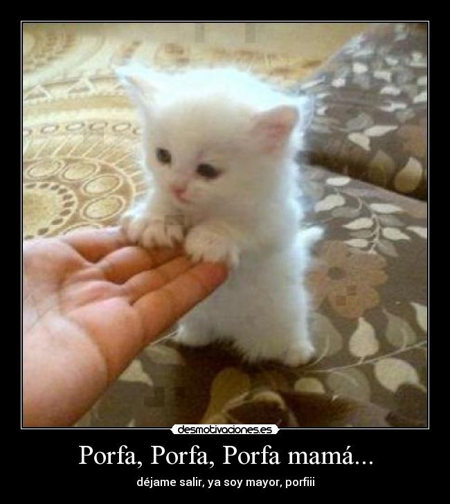 Porfa, Porfa, Porfa mamá... - déjame salir, ya soy mayor, porfiii