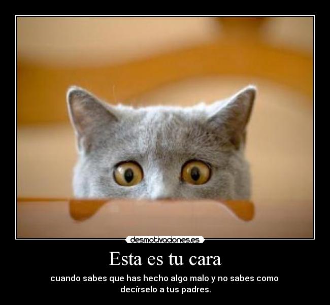 Esta es tu cara - cuando sabes que has hecho algo malo y no sabes como
decírselo a tus padres.