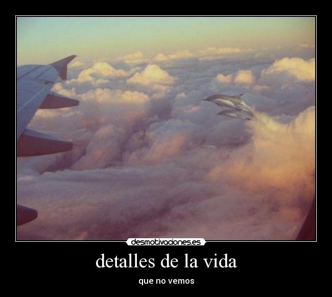 detalles de la vida -