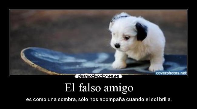 El falso amigo -