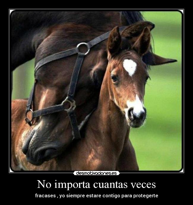 No importa cuantas veces -