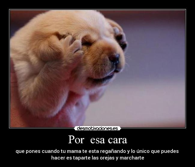 Por  esa cara - 