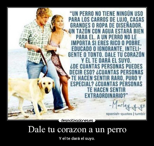 carteles corazon mascotas desmotivaciones