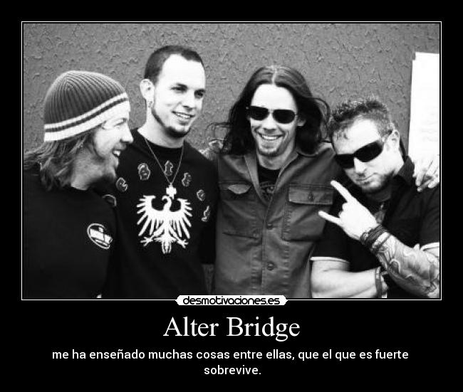 Alter Bridge -